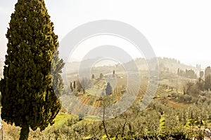 Spring beautiful landscape, early morning in Tuscany, Italy