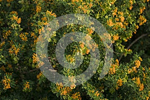 Spring begins ... colors explode