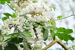 Spring begins ... colors explode