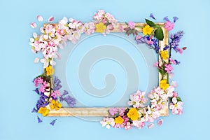 Spring Beltane Wildflower Background Border Frame