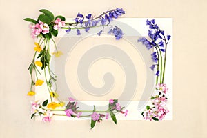 Spring Beltane Wildflower Natural Background Frame