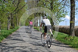 Spring bike riding through tree avenue