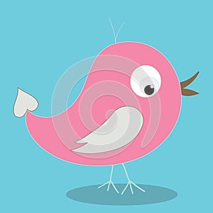 spring bird wings white 09