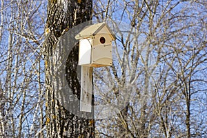Spring birdhouses on trees in the Park