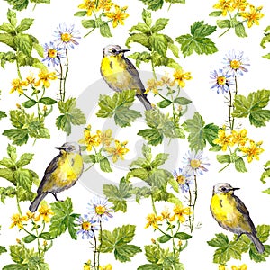 Spring birds, meadow flowers, wild herb. Seamless pattern. Water color