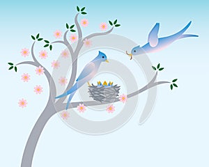 Spring birds with nest