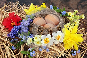 Spring Birds Nest and Brown Eggs with Flowers