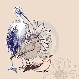 Spring birds, sparrows and stork floral design