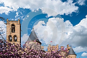 Spring Bloom at Olite Castle