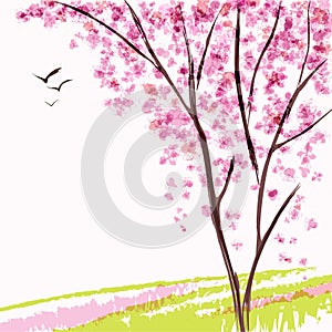 Spring blooming tree