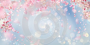 Spring Blossom Background