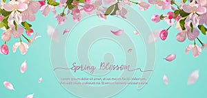 Spring Blossom Background