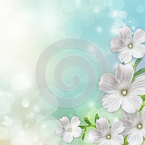 Spring blossom background