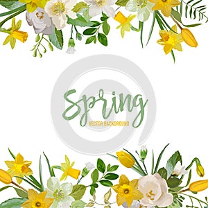 Spring Blossom Background - Flowers