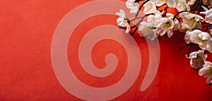 Spring blossom border over red background with copyspace. Chinese new year nature design