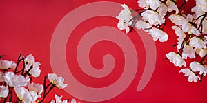 Spring blossom border over red background with copyspace. Chinese new year nature design