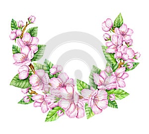 Spring Blossom. Cherry pink flowers. Blooming branch