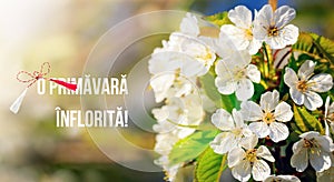 Spring blossom greeting card in Romanian. Scene with blooming tree and sun flare. Sunny day. Spring flowers. Springtime photo