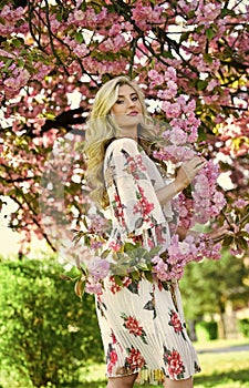 Spring blossom. Happy spring day. Spring symbol. Girl enjoy sakura in garden. Cherry tree. Good vibes. Floral aroma