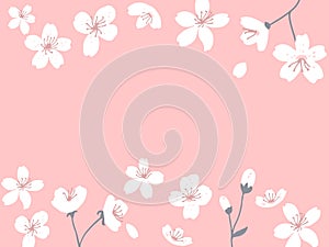 Spring blossom horizontal banner. Sakura flowers card vector illustration. Pink background with floral border.