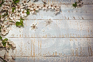 Spring blossom on light blue wooden background