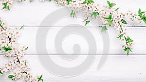 Spring blossom may flowers and April floral nature on wooden background. Branches of blossoming. For easter and spring