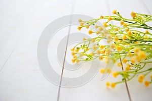 Spring Blossom over wood background.