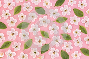 Spring blossom/springtime cherry bloom flower pattern background