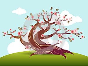 Spring blossom tree illustration