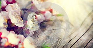 Spring blossom on wooden background