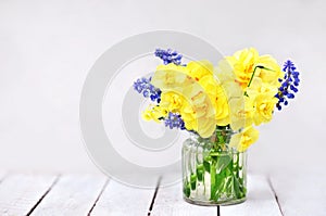 Spring blossoming yellow daffodils and blue hyacinths posy, springtime blooming narcissus flowers