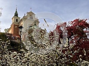 Spring Blossoms and a Catholic Church in Warsaw, Poland