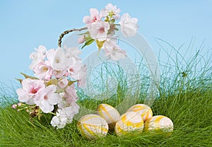 Spring blossoms and easter eggs