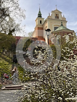 Spring Blossoms in the Old Town of Warsaw, Poland invite tourists and locals alike