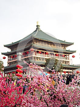 Spring Blossoms at Tower in Xian China