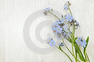 Spring blue forget-me-nots flowers posy on light wooden background