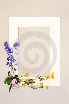 Spring Bluebell Buttercup and Blossom Flower Background Frame