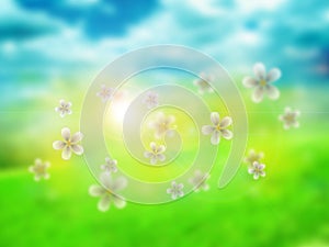 Spring blur background