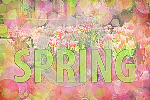 Spring blur background