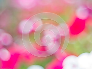 Spring bokeh , Element of design