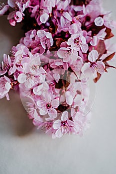 Spring border or background art with pink blossom. Beautiful nature scene with almond tree flowers indoors. Springtime