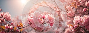 Spring border or background art with pink blossom. Beautiful nature scene with blooming tree and sun flare