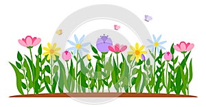 Spring border flower tulip cartoon grass vector