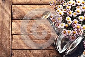 Spring border with fresh daisies and watering can