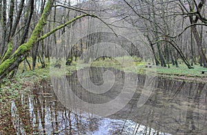 The spring of the Bosna river, natural park near city of Sarajevo