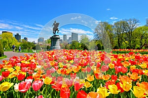 Spring in Boston Public Garden