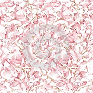 Spring botanical seamless pattern Delicate white pink sprigs of flowering apple tree on white background