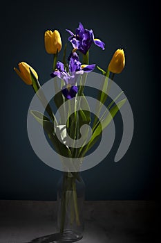 Spring bouquet of blue iris and yellow tulips. Still life in a low key