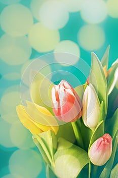 Spring bouquet, bunch of yellow, pink, red tulip flowers