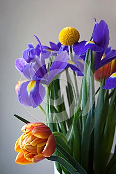 Spring bouquet detail with tulips and irises